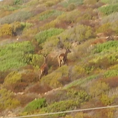 Con Terrazza Panoramica Vista Mare *